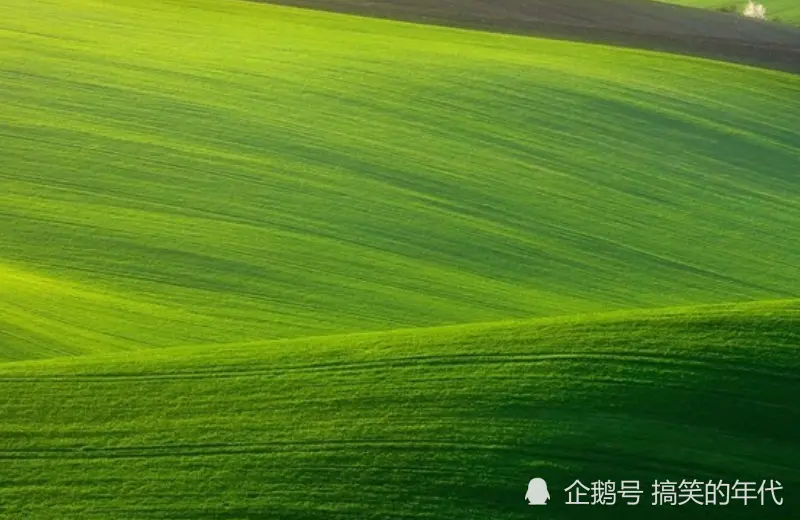 12月上旬开始，贵人登门，有钱不愁，好运袭来的生肖