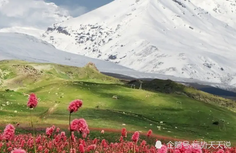 12月上旬开始，时来运转，财气顺遂，升官加薪的生肖