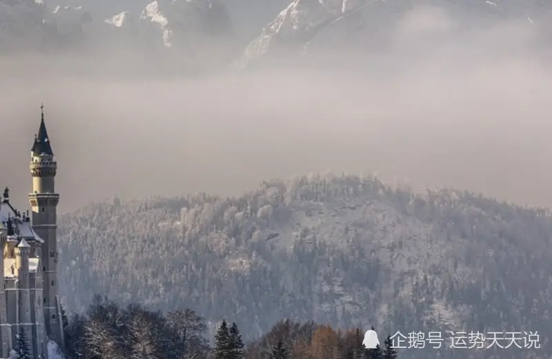 12月上旬开始，添福又旺财，鸿运滚滚，事业一帆风顺的生肖