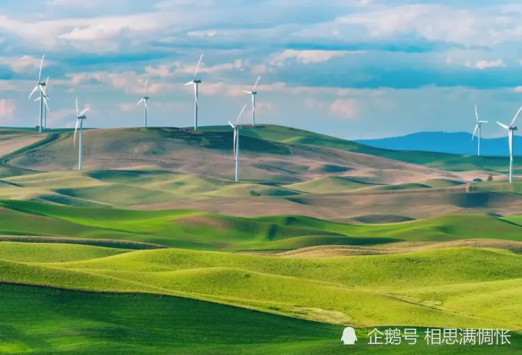 十二月开始，步步高升，运势大涨，事业一路高涨的生肖