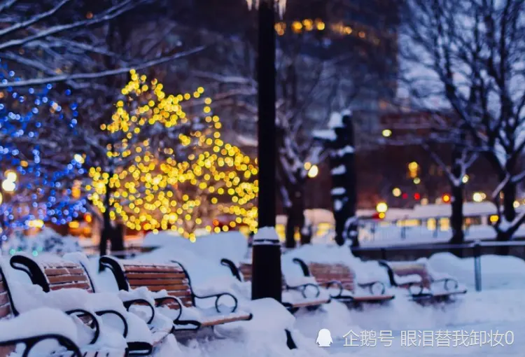 12月开始，有桃花有真爱，财帛不缺，苦难熬完的生肖