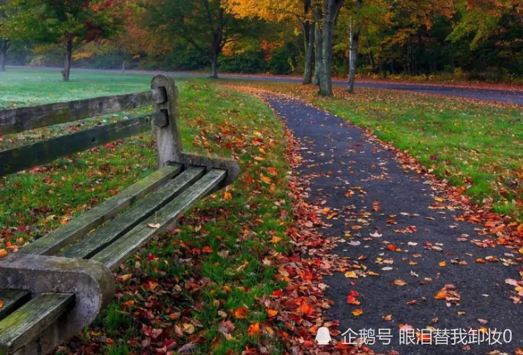 12月开始，有桃花有真爱，财帛不缺，苦难熬完的生肖