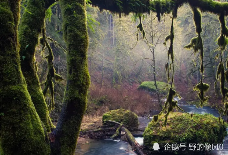 步入12月，吉星加身，桃花顺风顺水，生活比蜜甜的生肖