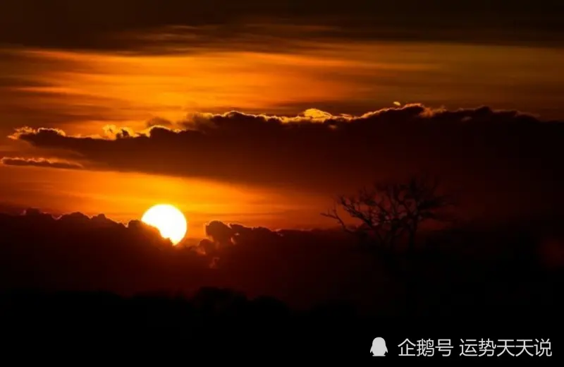 12月上旬开始，钱财大旺，事业有成，财运直线涨的生肖