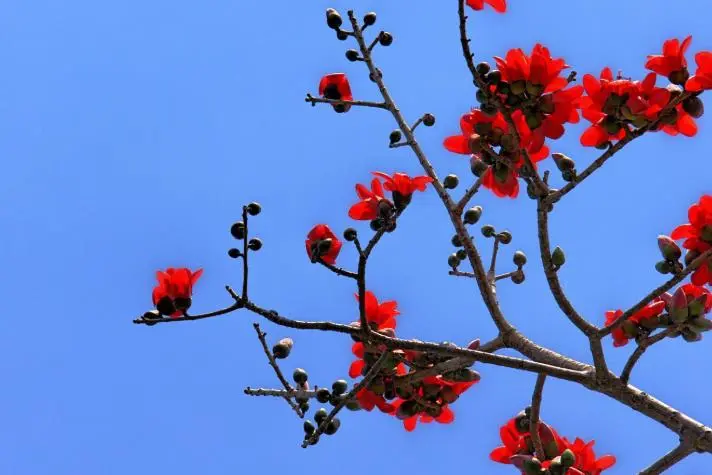 12月开始，好运挡不住，财神护佑，财富暴涨的生肖