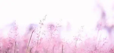 掙錢以後不會亂花，而是喜歡存起來，這些星座覺得錢是保證