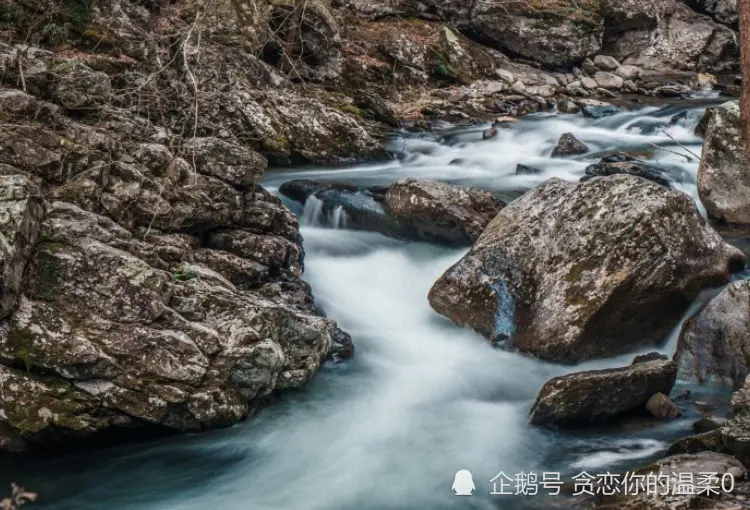 进入12月，4属相运势大旺，喜事不断，好运连连，生活幸福