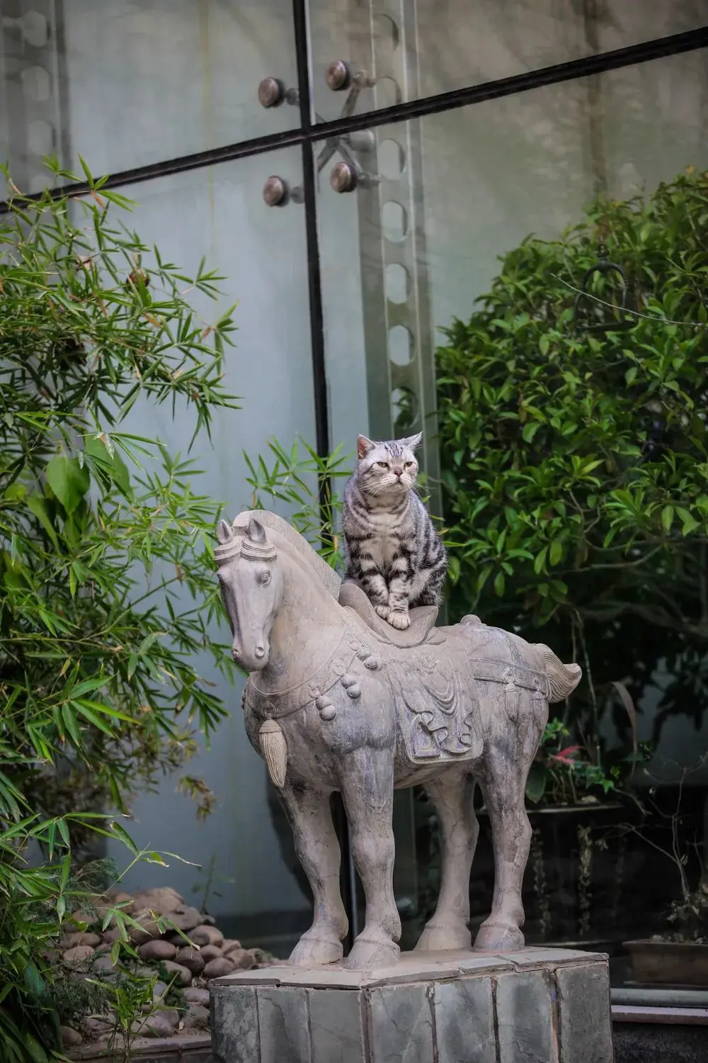 听说你们都在猜本都督是什么星座的？