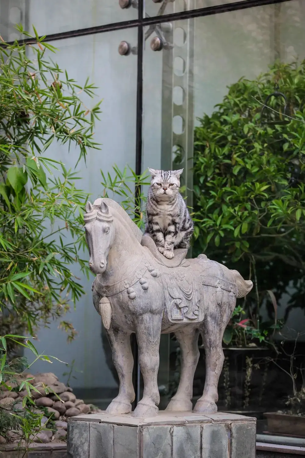 听说你们都在猜本都督是什么星座的？