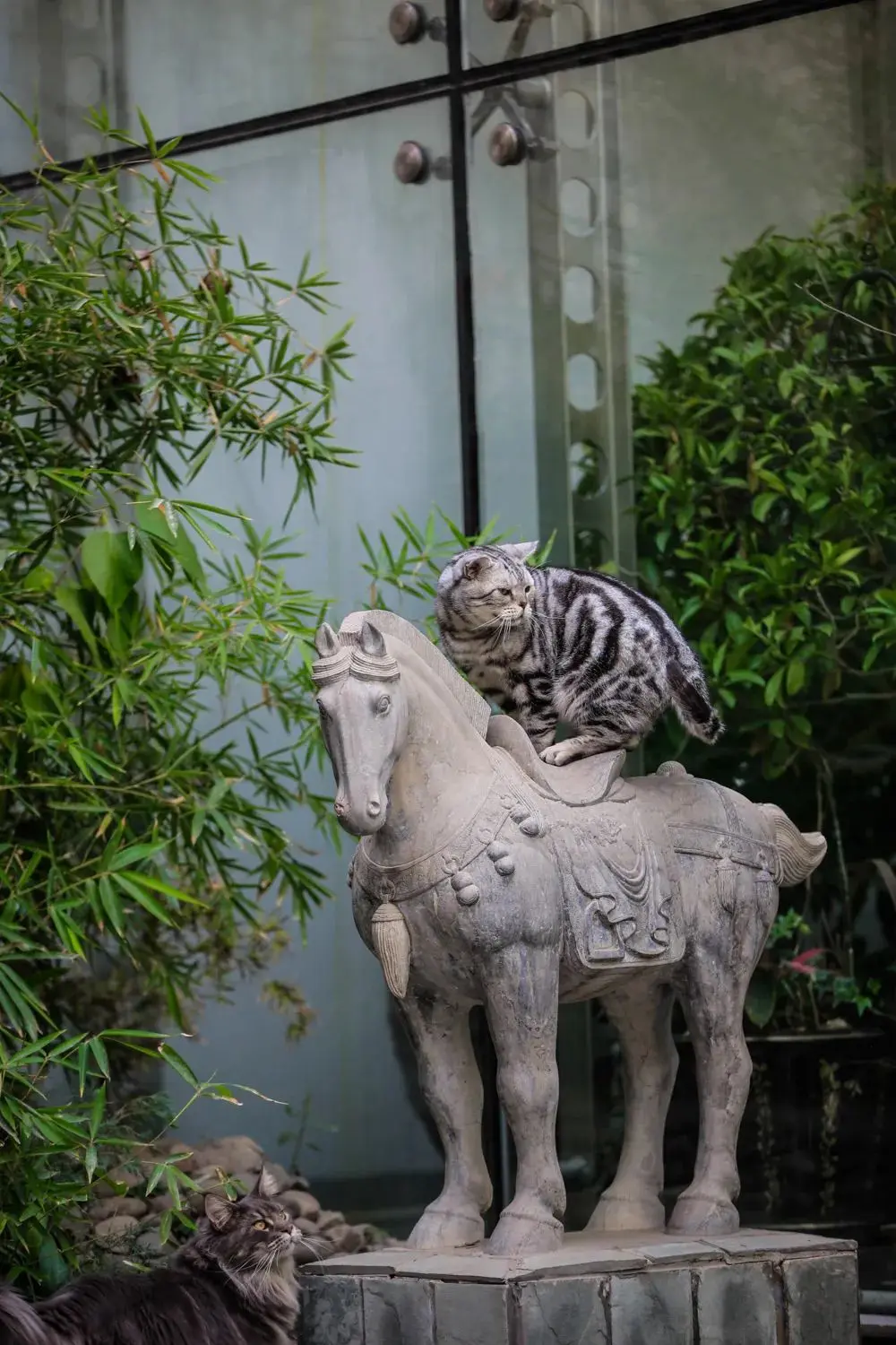 听说你们都在猜本都督是什么星座的？