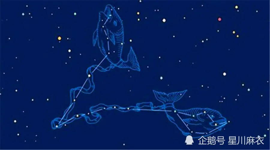 12月星座运程：天秤、天蝎、射手、摩羯、水瓶、双鱼座！