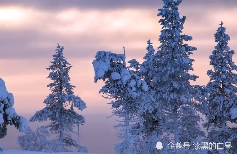 12月上旬开始，苦尽甘来，运势大反转，财富缠身的生肖