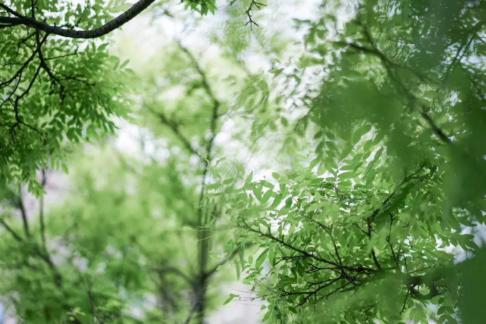 不吃回头草的星座，深情也绝情，放手之后，就没有挽回的机会了