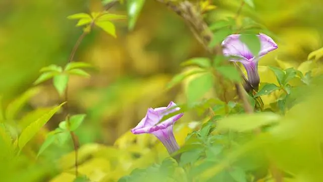 这3个星座分手后有什么心态？苦苦支撑还是烟消云散，说的是你吗