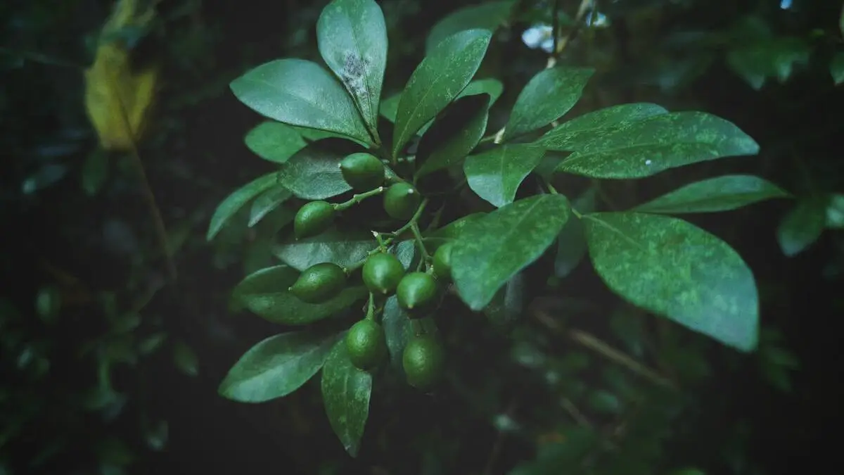 如何与狮子座好好相处呢？从小细节抓住他们的真心