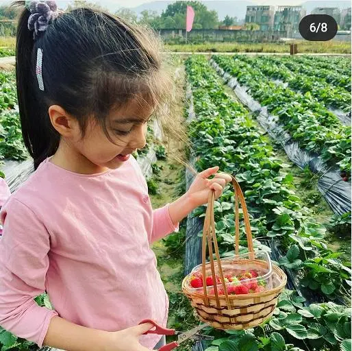 梁咏琪带女儿摘草莓，45岁美出新高度，混血女儿精致如洋娃娃