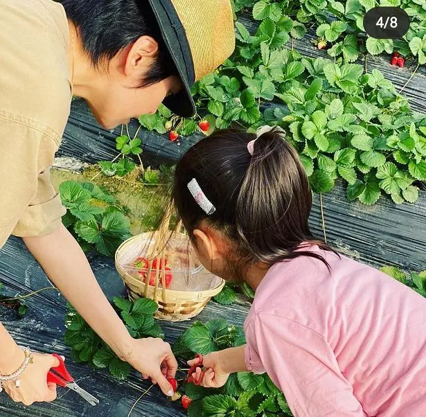 梁咏琪带女儿摘草莓，45岁美出新高度，混血女儿精致如洋娃娃