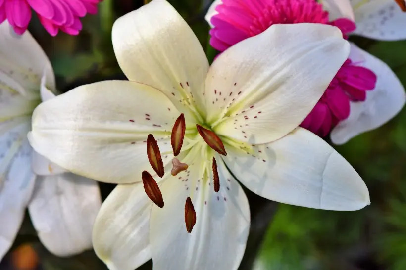 12月上旬，桃花炙手可热的4大星座，你的爱情甜蜜来袭！