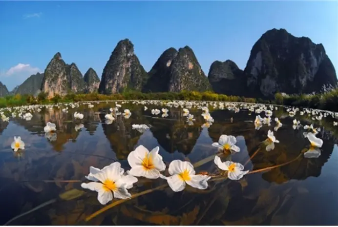 滇池“水性杨花”消失之谜，终于解开，它因为这个才去的泸沽湖