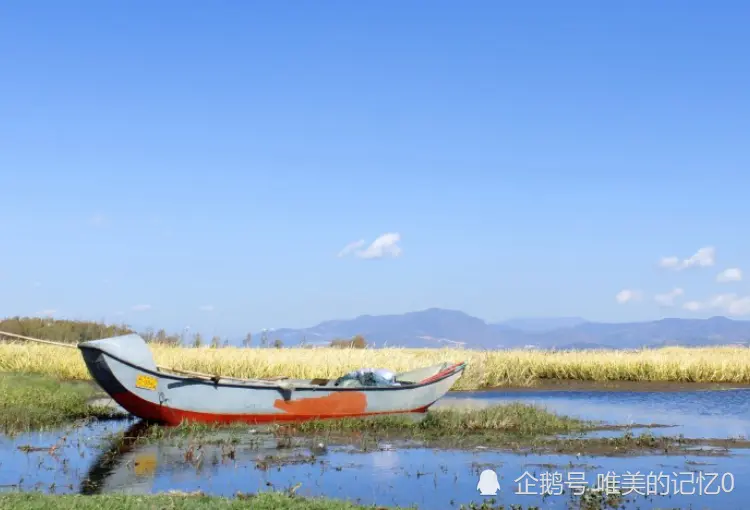 十二月上旬开始，赚得到钱，事业顺利，将会有贵人指点的生肖