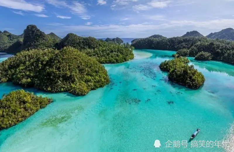 12月上旬开始，财运大涨，贵人接二连三来，福星相伴的生肖