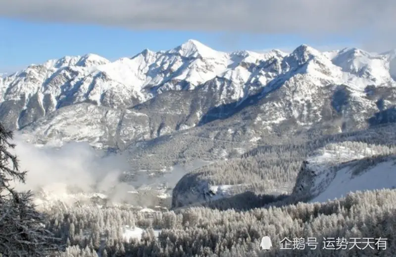 12月上旬开始，正偏财大爆发，财运逆袭，大吉大利的生肖