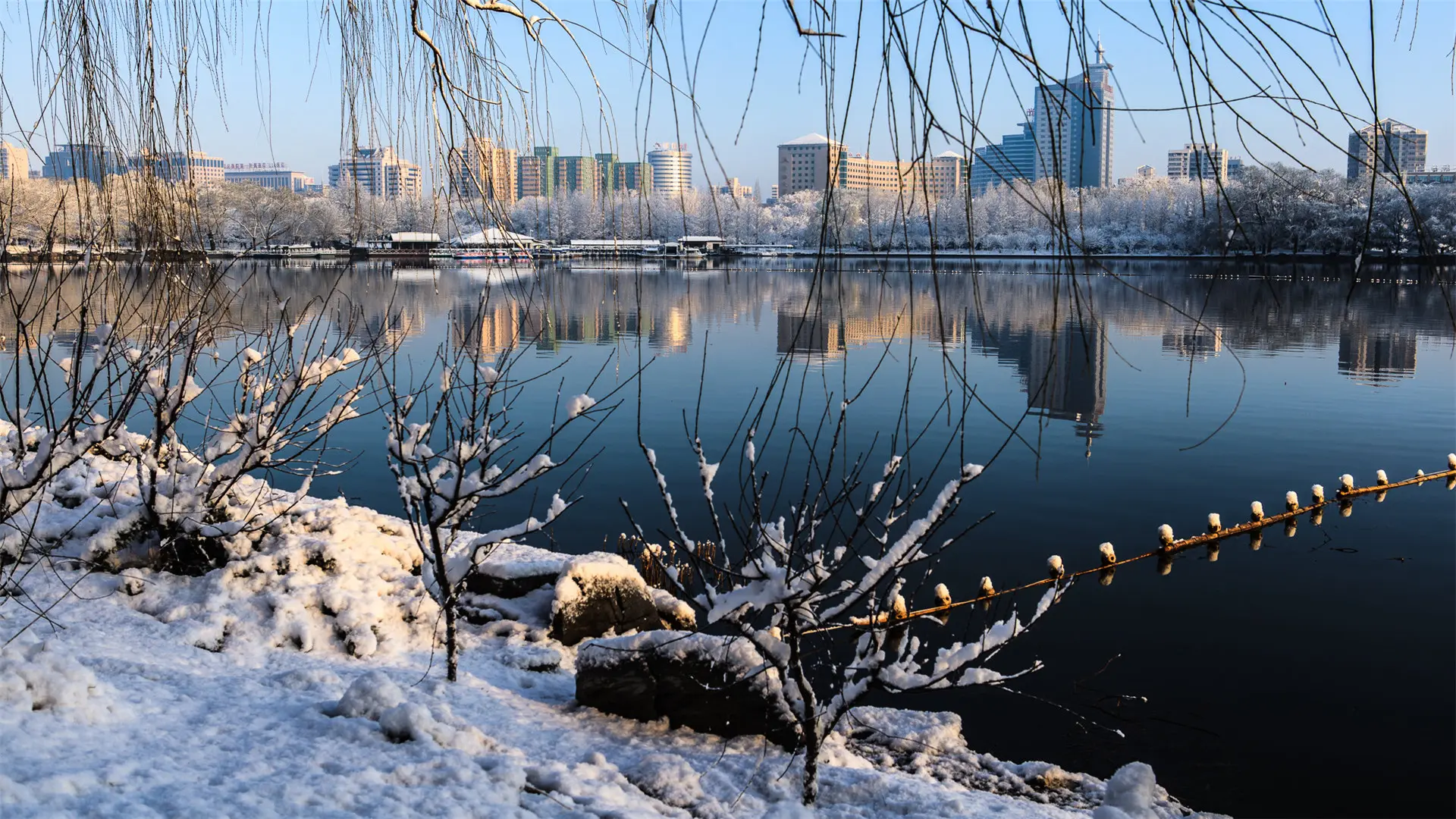 12月下旬，红颜易老，真情不散，一生钟情，一世牵绊，恩爱过百年