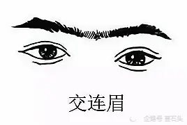 “娶妻不娶颧骨高，嫁汉不嫁连眉梢”，切勿以貌取人