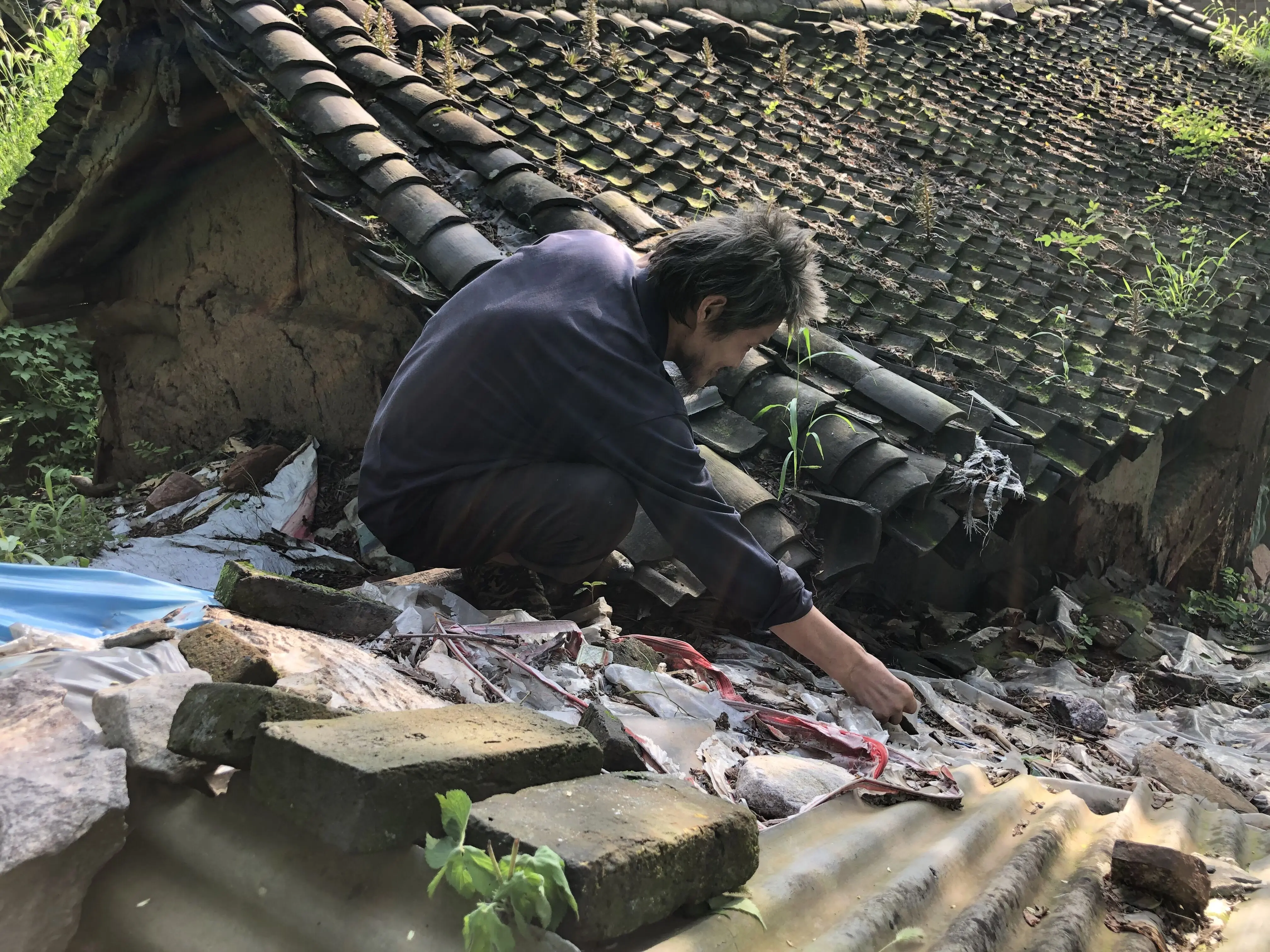 俗话说：“大树压顶，人财两空”，你知道什么是“大树压顶”吗？