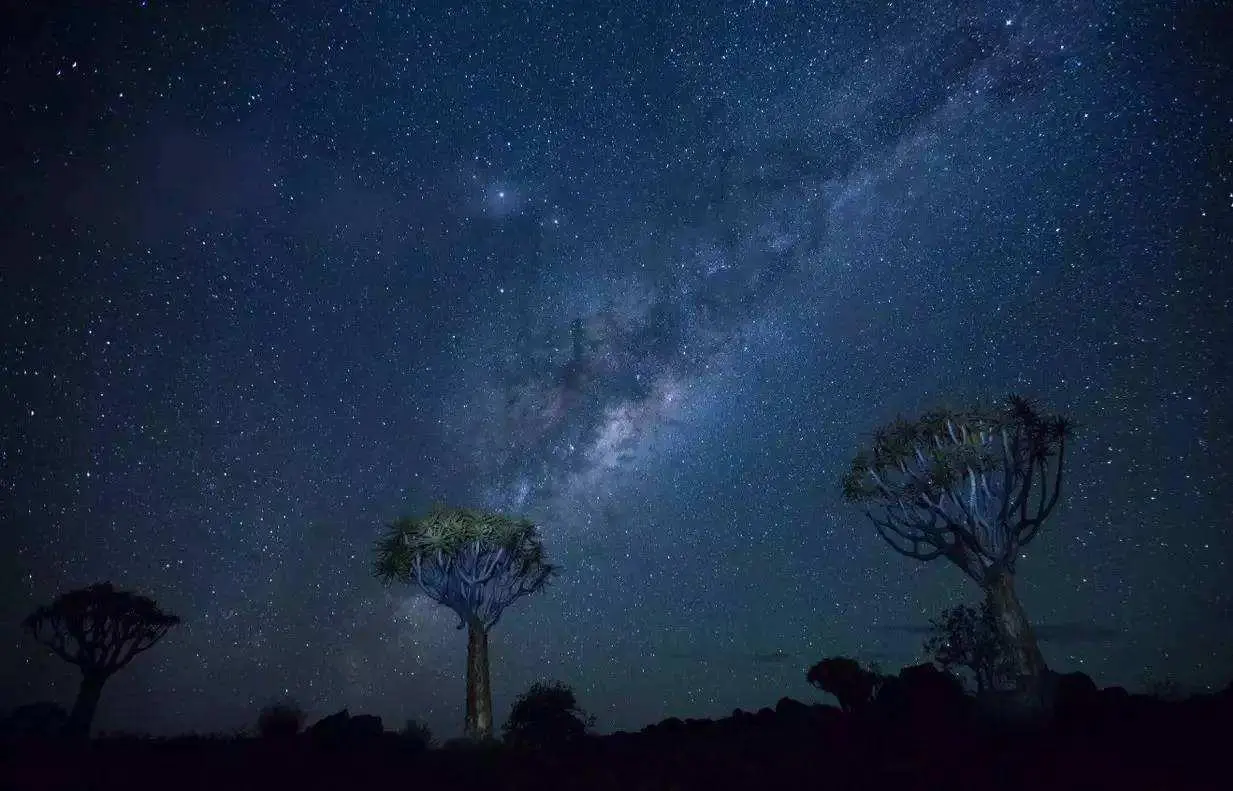 十二星座都是如何对待自己的？白羊放纵自我，天秤优柔寡断