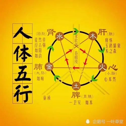 八字的五行被冲会形成什么样的疾病？