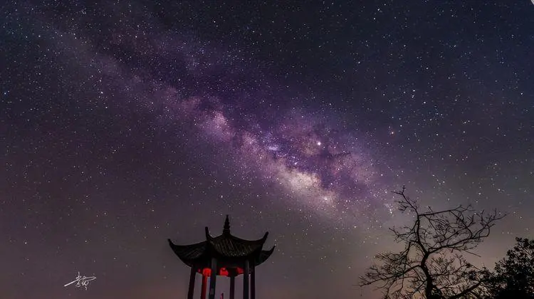 年纪越大越孤独的3生肖，晚年虽然不差钱，却没有子女陪伴在身边