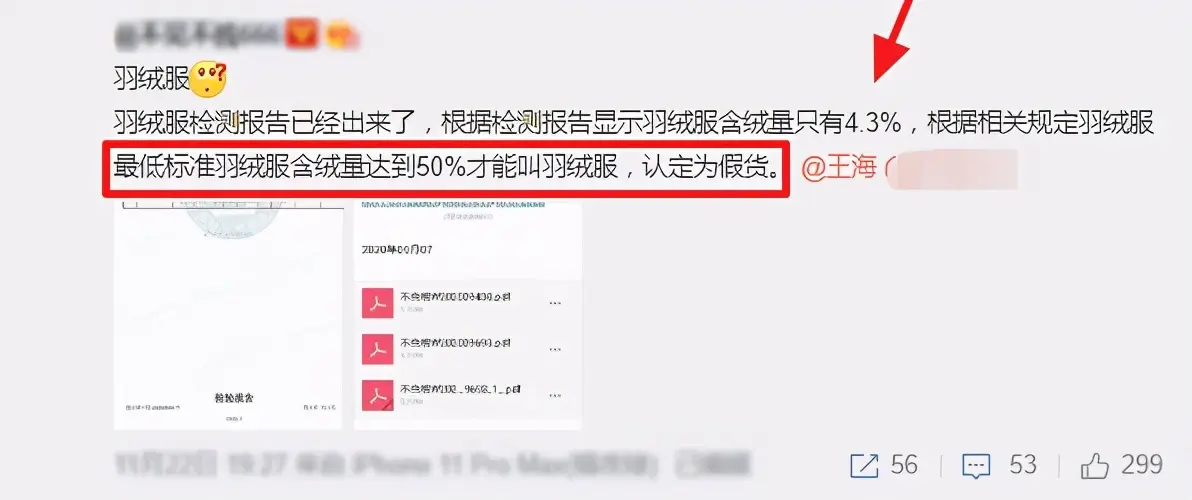 新禁令下辛巴再遭打击，因售假羽绒服引争议，网上评论却褒贬不一