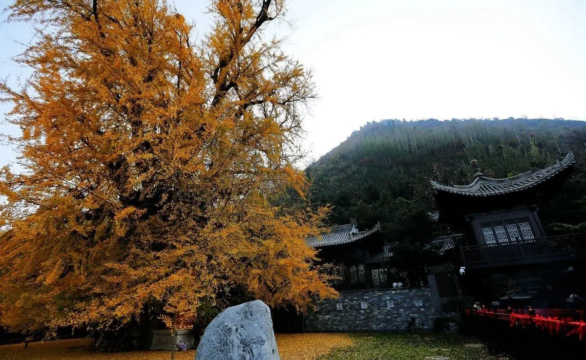 中国一座山成隐居之地，上万人来此隐居，房价涨了50倍堪比大城市