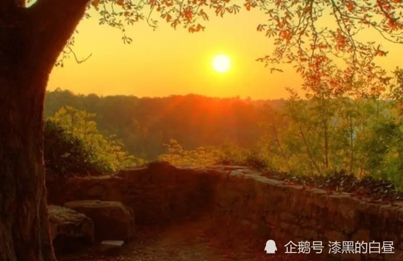 12月上旬开始，财运福运节节高，钱财大旺，满满财富的生肖