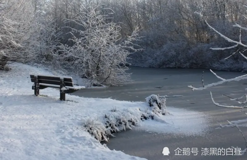 12月上旬开始，天降大财，运势攀升，横财大发不停的生肖