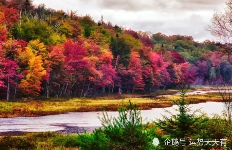 12月上旬开始，大财躲不掉，运势上好，与贵人结伴的生肖