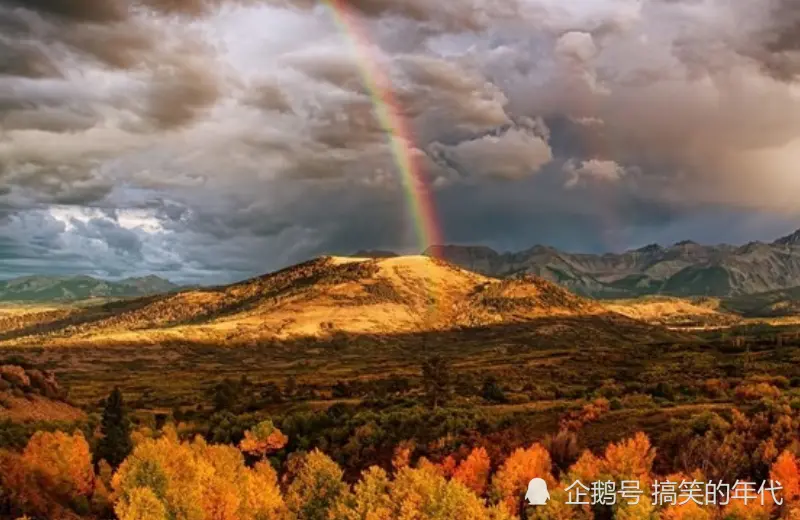 12月上旬开始，财运堆满山，从此大富，鸿运缠身的生肖