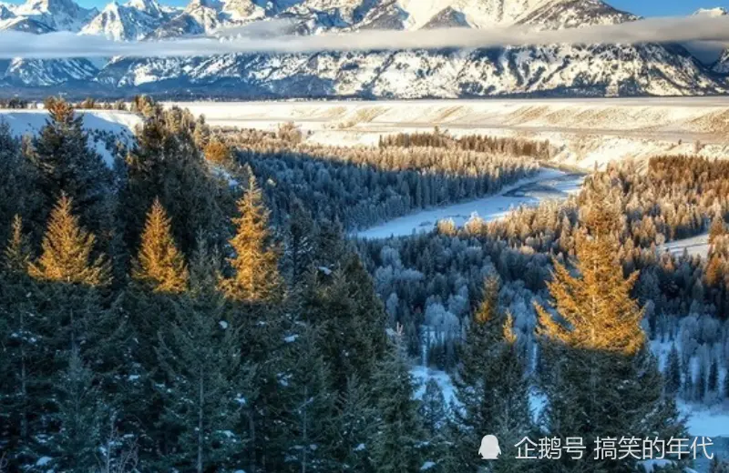 12月上旬开始，财运堆满山，从此大富，鸿运缠身的生肖