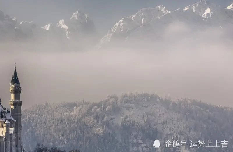 12月上旬开始，好运接连来，横财大发，人生上上吉的生肖