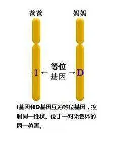 黑人需要混血多少代，才能完全拥有白人特征？