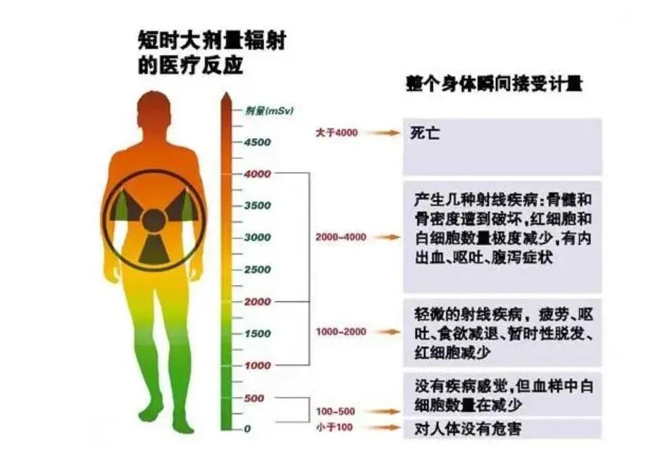 飞机起降时为啥要打开遮光板？机餐为啥总觉得不好吃？答案看这里