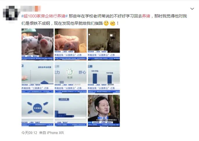 超1000家房企转行养猪？网友：原来小时候老师早就给我们指了条明路