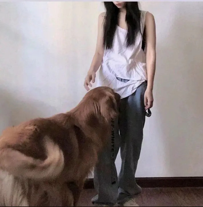 头像：错过了落日余晖