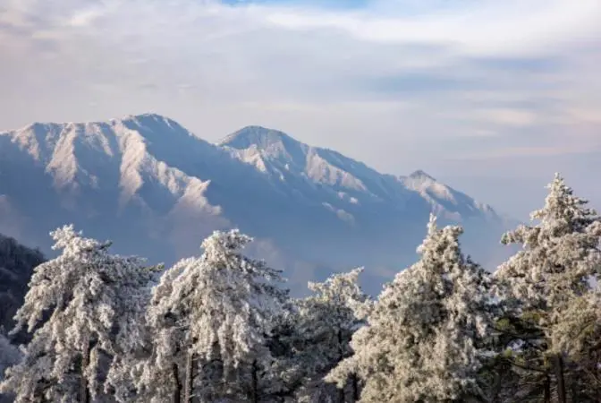 今日大雪，白首与君归