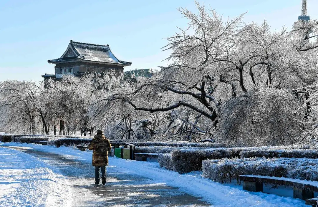 今日大雪，白首与君归