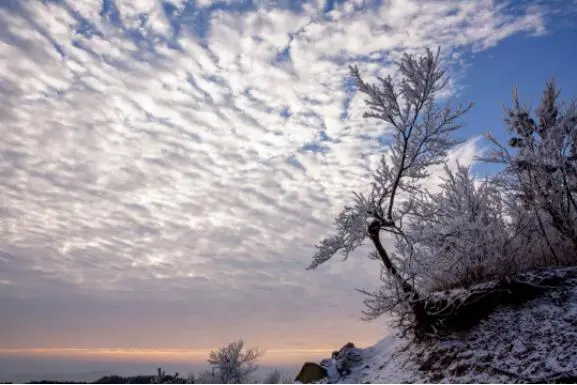 今日大雪，白首与君归