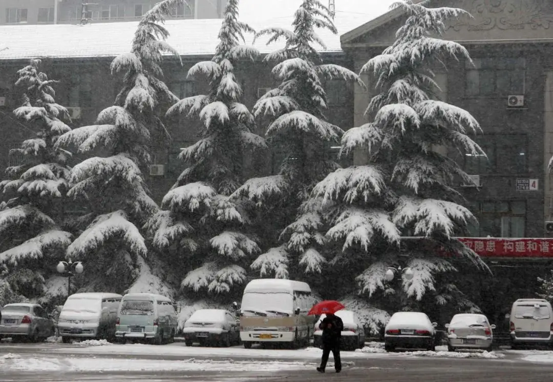 今日大雪，白首与君归