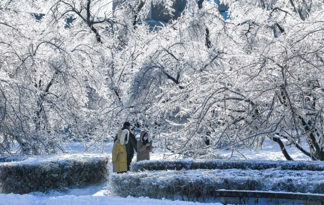 今日大雪，白首与君归