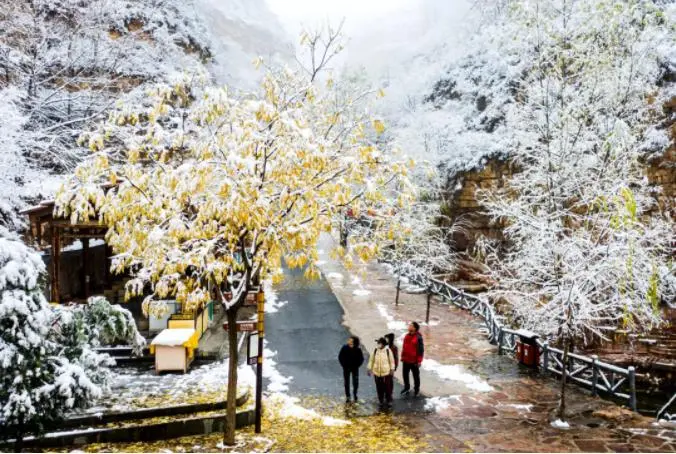 今日大雪，白首与君归